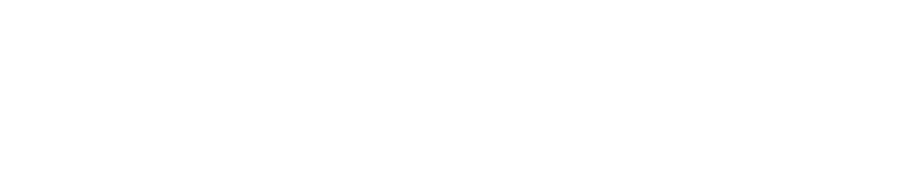 Seiko