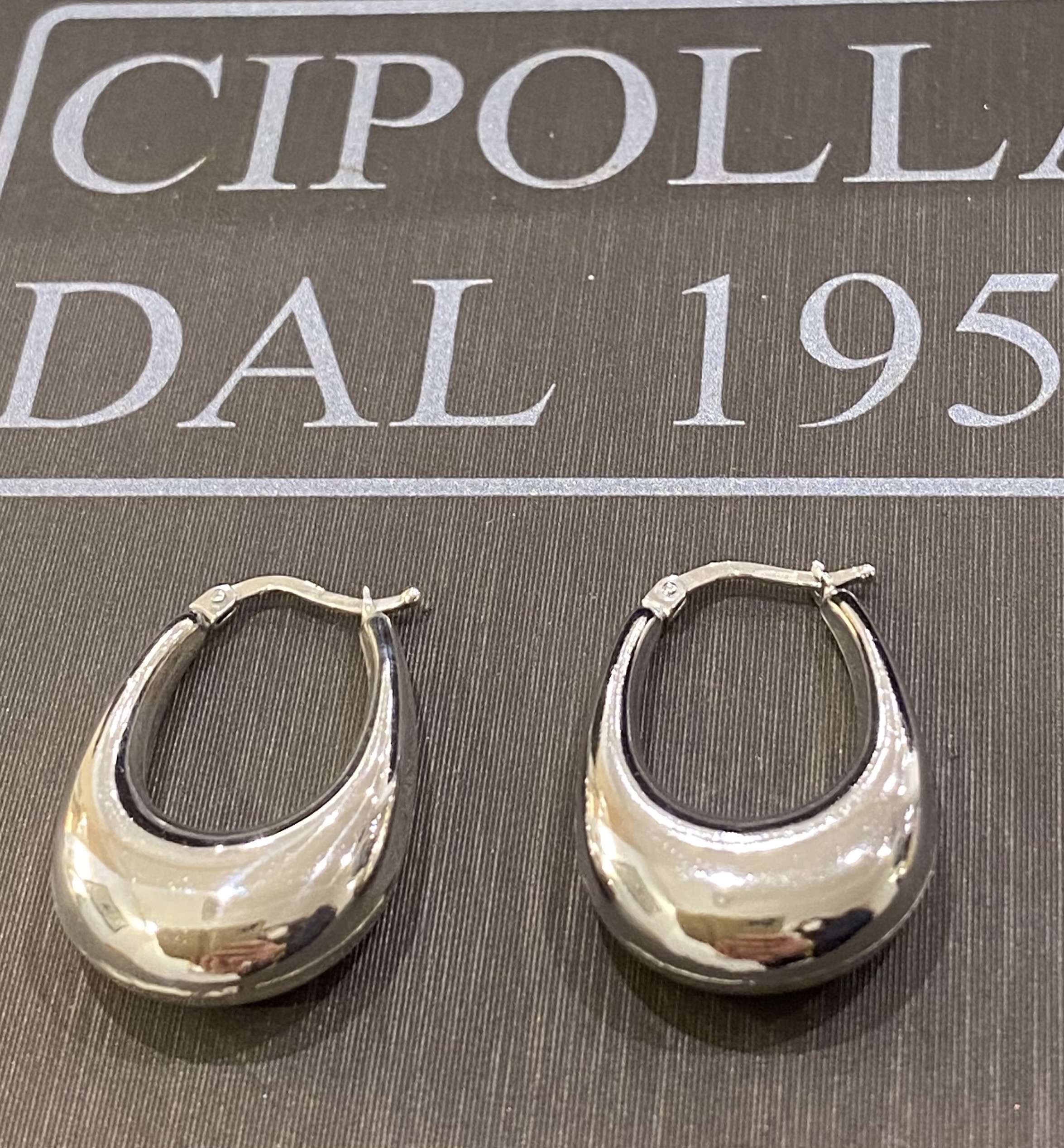 orecchini in argento 925%